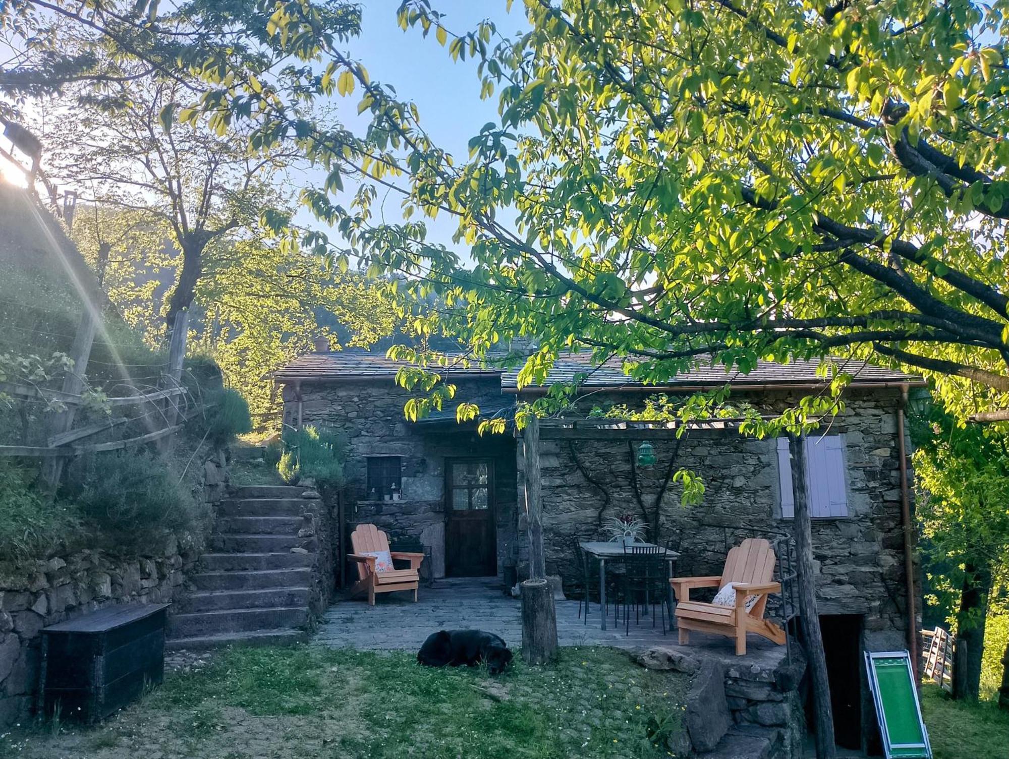 Casa Millin Apartment Borzonasca Bagian luar foto