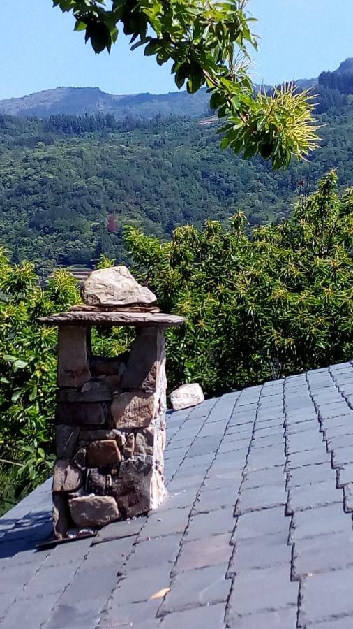 Casa Millin Apartment Borzonasca Bagian luar foto