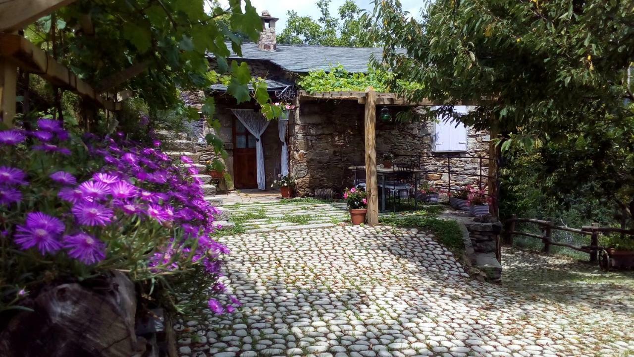 Casa Millin Apartment Borzonasca Bagian luar foto