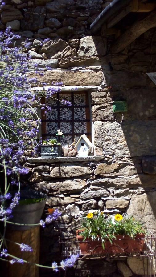 Casa Millin Apartment Borzonasca Bagian luar foto